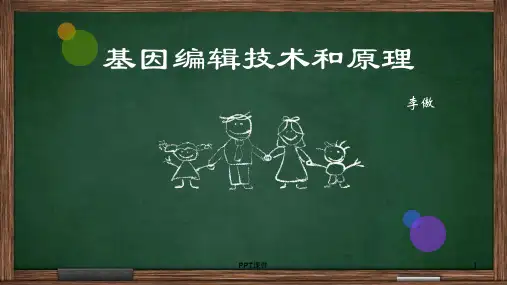 基因编辑技术和原理讲述  ppt课件