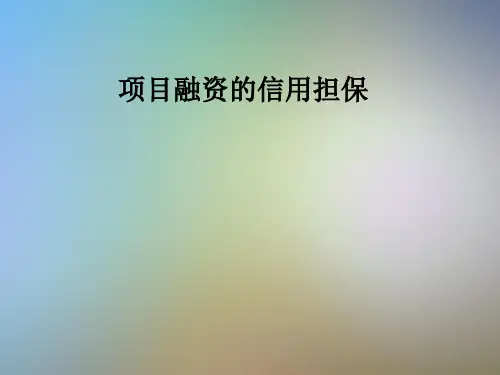 项目融资的信用担保