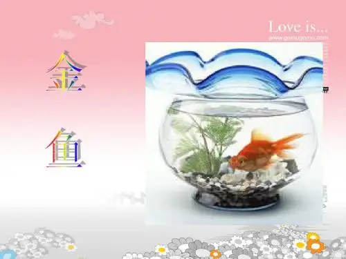 三年级金鱼