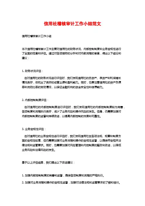 信用社稽核审计工作小结范文