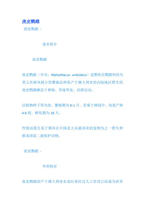 虎皮鹦鹉