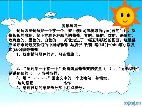 二年级阅读训练(25)精品PPT课件