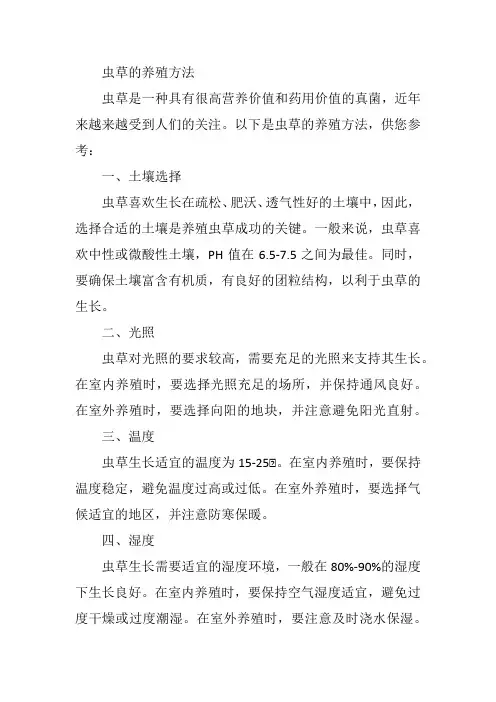 虫草的养殖方法