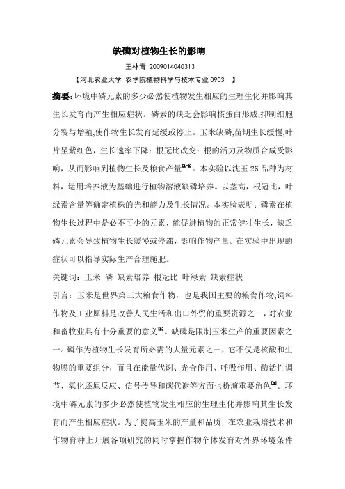 缺磷对植物生长的影响
