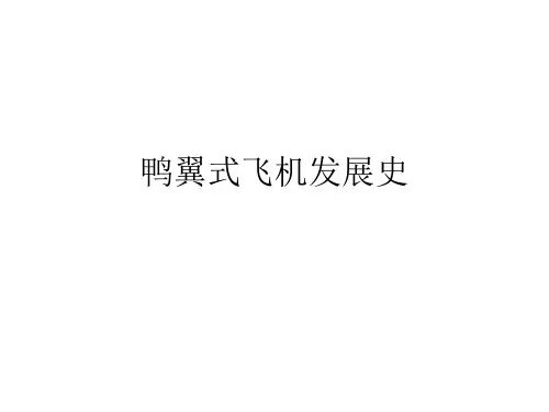 鸭翼式飞机