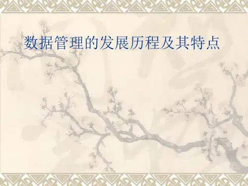 数据管理的发展历程及其特点