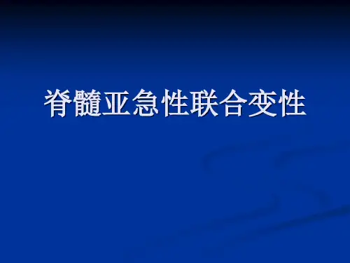 脊髓亚急性联合变性