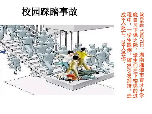 生命与健康的权利ppt