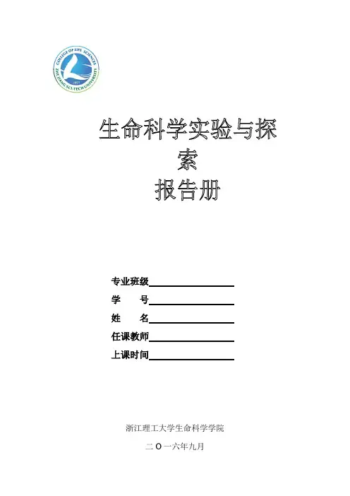 ABO血型鉴定