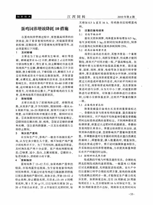 蛋鸡饲养增效降耗10措施