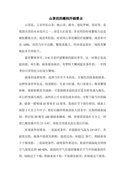 山茶花的嫩枝扦插要点