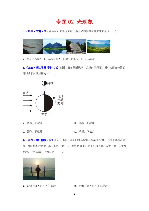 2021年全国中考物理真题分类汇编专题：02 光现象(含解析)