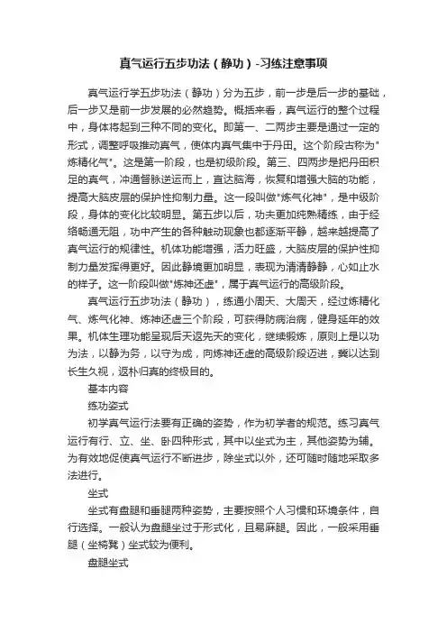 真气运行五步功法（静功）-习练注意事项