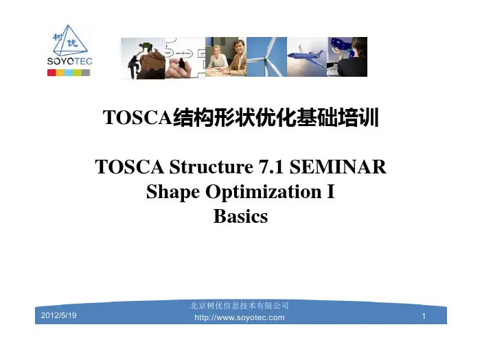 树优公司-TOSCA-结构形状优化培训教程-1