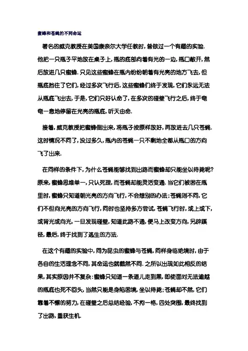 蜜蜂和苍蝇的不同命运