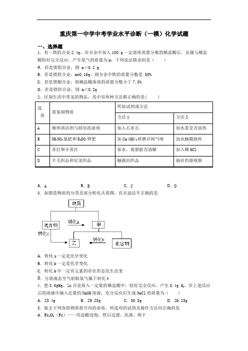 重庆第一中学中考学业水平诊断(一模)化学试题