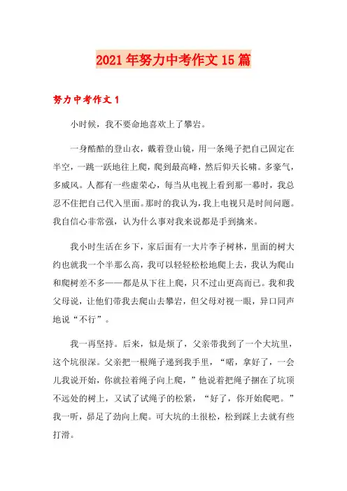 2021年努力中考作文15篇