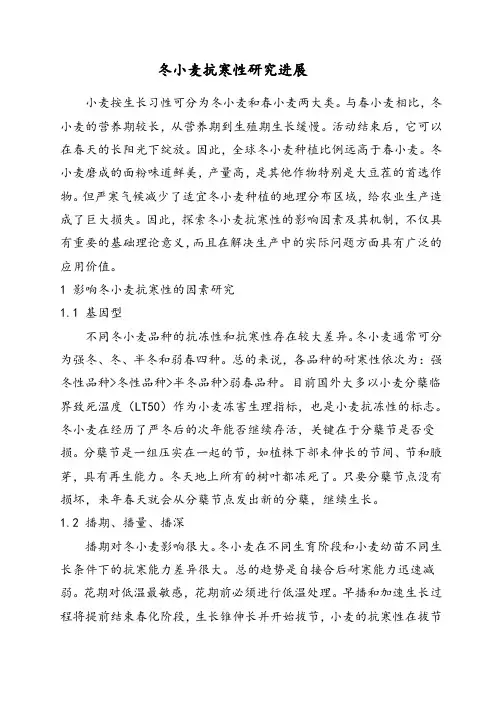 冬小麦抗寒性的研究进展