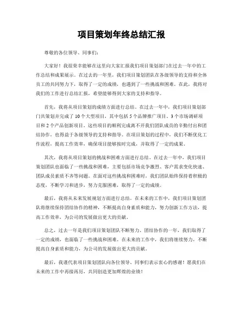 项目策划年终总结汇报