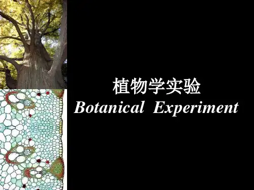 植物学实验五：叶形态