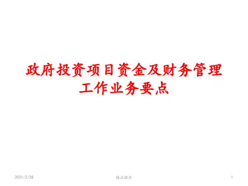 政府投资项目业务简介ppt课件