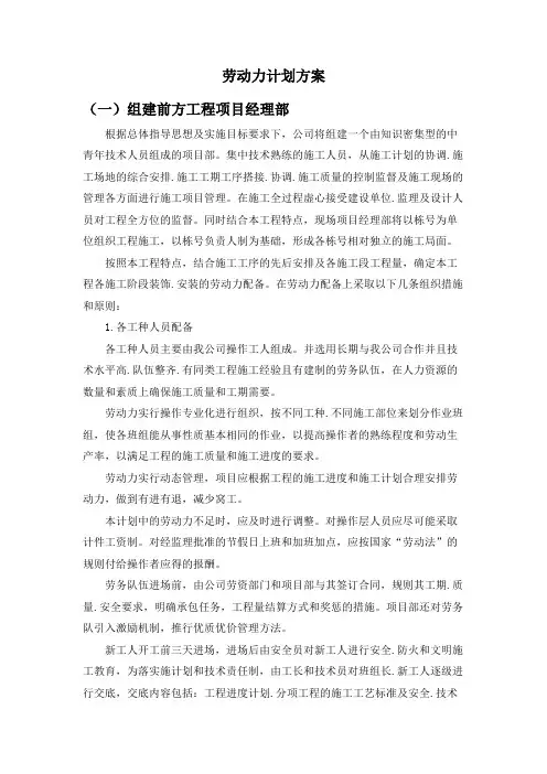 劳动力计划方案(精选)