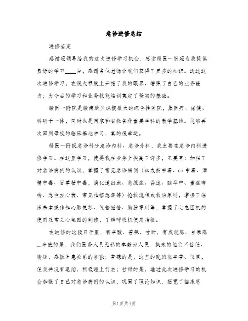 急诊进修总结（2篇）