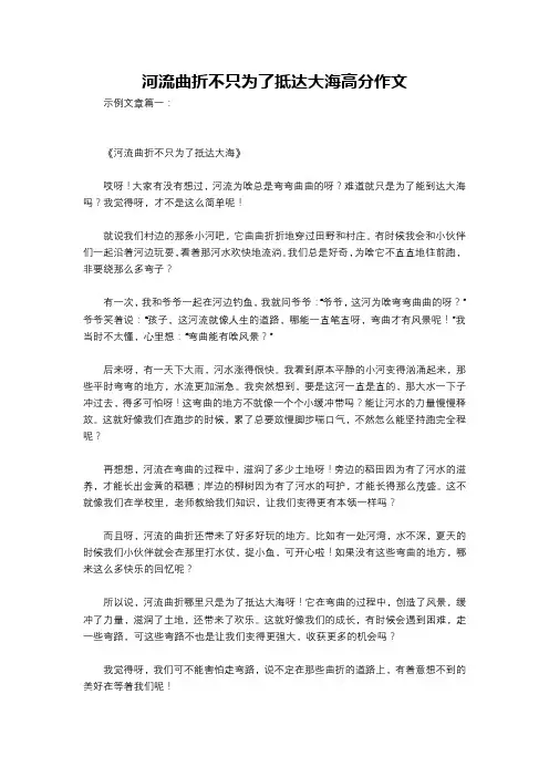 河流曲折不只为了抵达大海高分作文