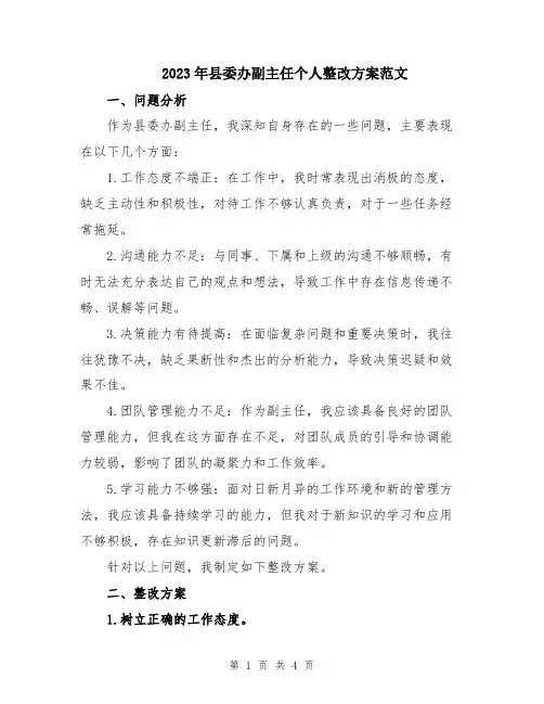 2023年县委办副主任个人整改方案范文