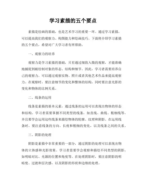 学习素描的五个要点