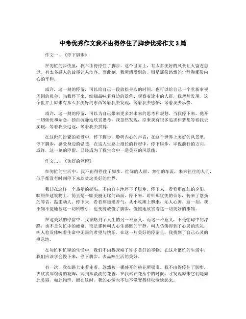 中考优秀作文我不由得停住了脚步优秀作文3篇