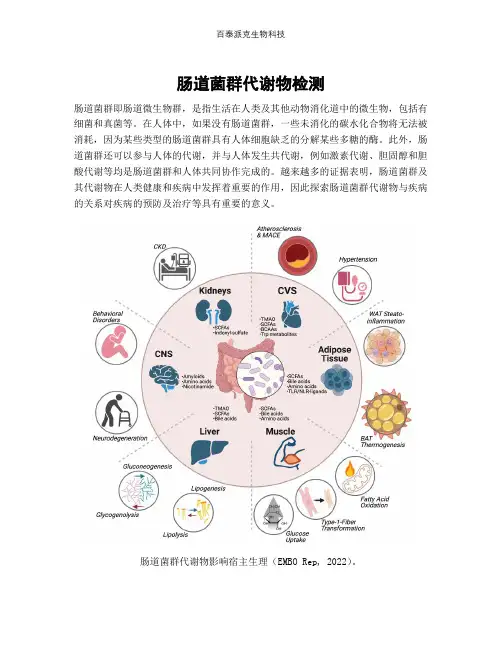 肠道菌群代谢物检测
