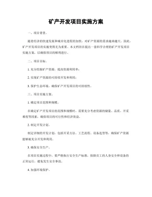 矿产开发项目实施方案