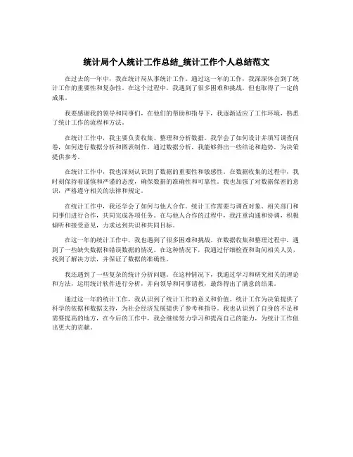 统计局个人统计工作总结_统计工作个人总结范文