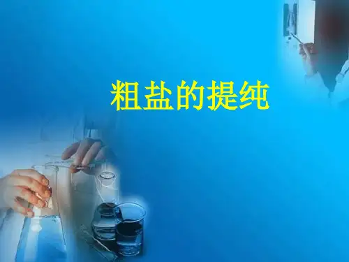 初中化学实验粗盐提纯全解
