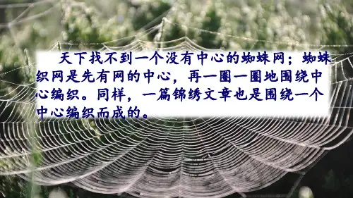 《习作：围绕中心意思写》课件完美版(共24张PPT)
