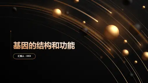 基因的结构和功能