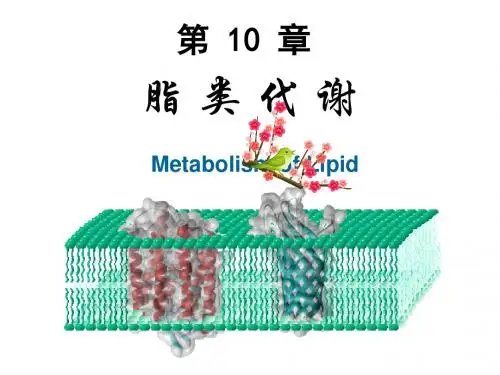 第10章脂代谢Mic演示文稿