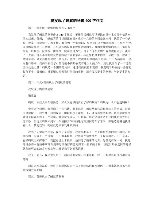 我发现了蚂蚁的秘密400字作文