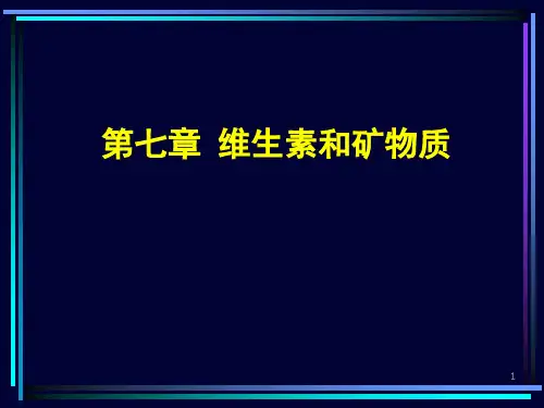 维生素与矿物质PPT课件