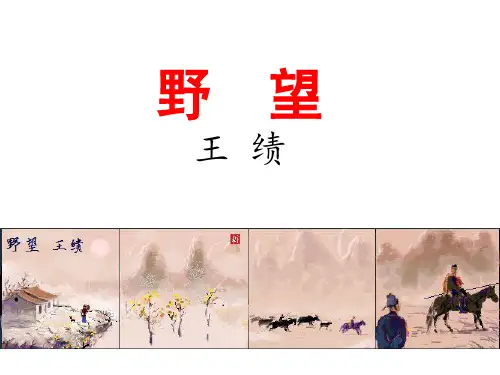 2021—2022学年部编版语文八年级上册第13课《唐诗五首——野望》《黄鹤楼》课件
