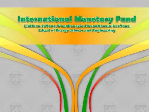 IMF货币基金组织英语演讲ppt