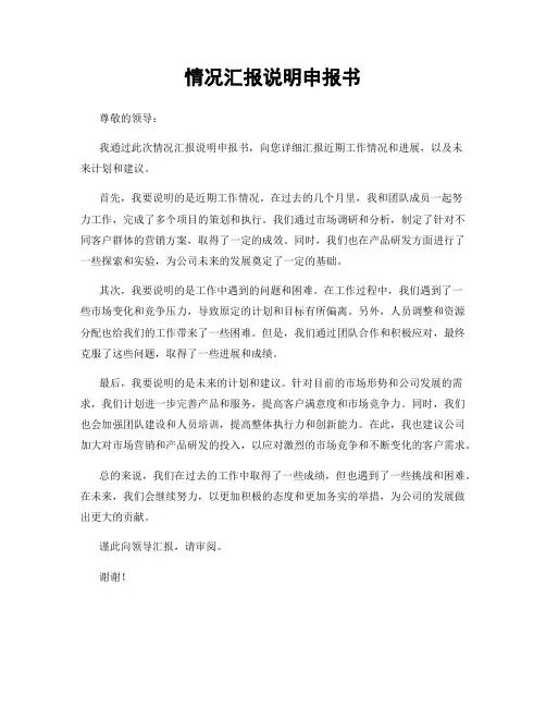 情况汇报说明申报书