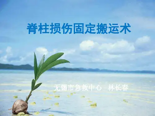 脊柱损伤固定搬运术ppt课件