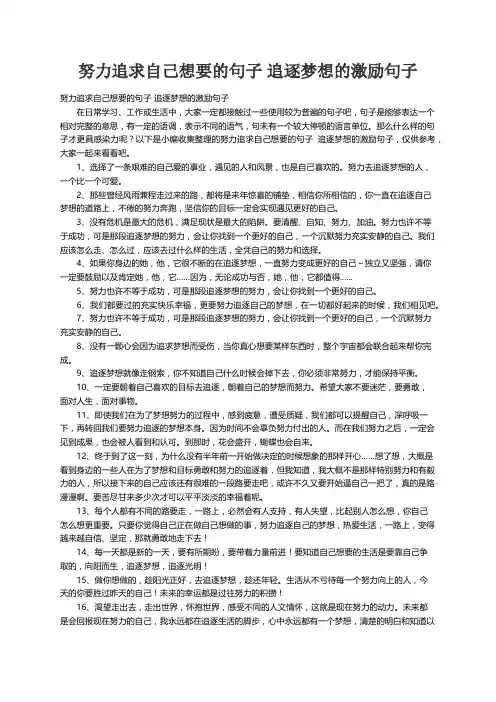 努力追求自己想要的句子 追逐梦想的激励句子
