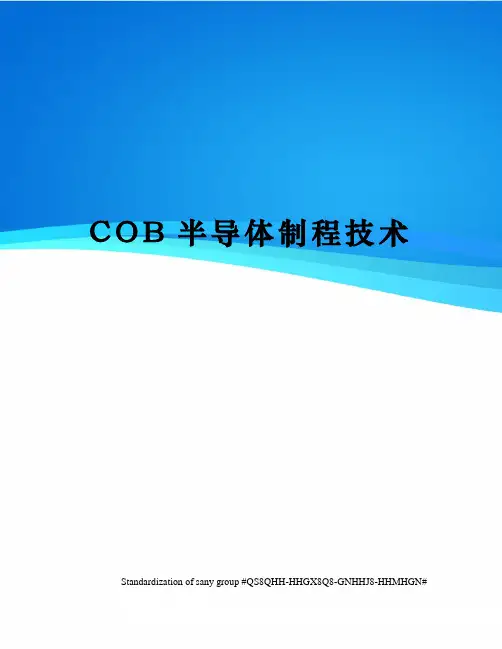COB半导体制程技术