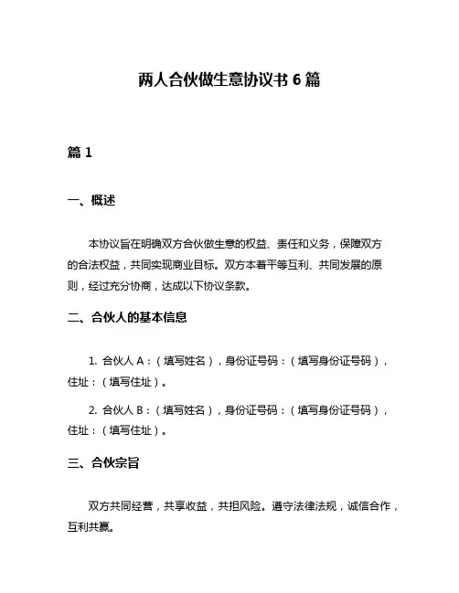 两人合伙做生意协议书6篇