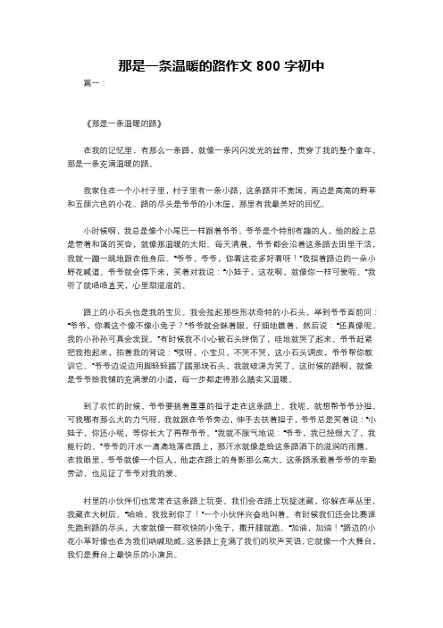 那是一条温暖的路作文800字初中