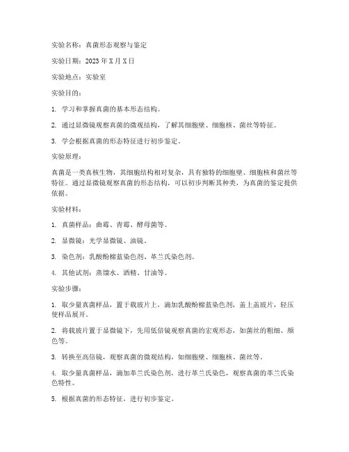 真菌学实验报告