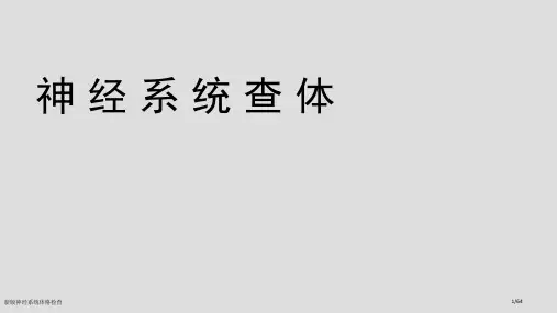 新版神经系统体格检查